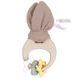 Прорізувач для зубів Chicco "Зайченя DouDou", з народження