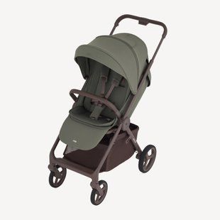 Прогулочная коляска Anex Ride, Freshy, Прогулочная коляска, от 6 - ти мес